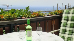 Ein Tisch mit einer Flasche und zwei Gläsern, umgeben von Topfpflanzen und Blick aufs Meer.