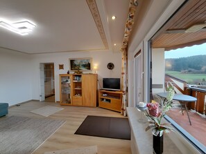 TV, tavolo da ping pong, impianto stereo