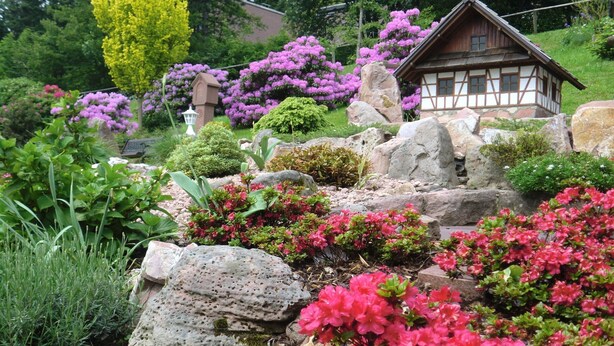 Ein Garten mit einem Holzhaus, Steinen und verschiedenen Pflanzen.