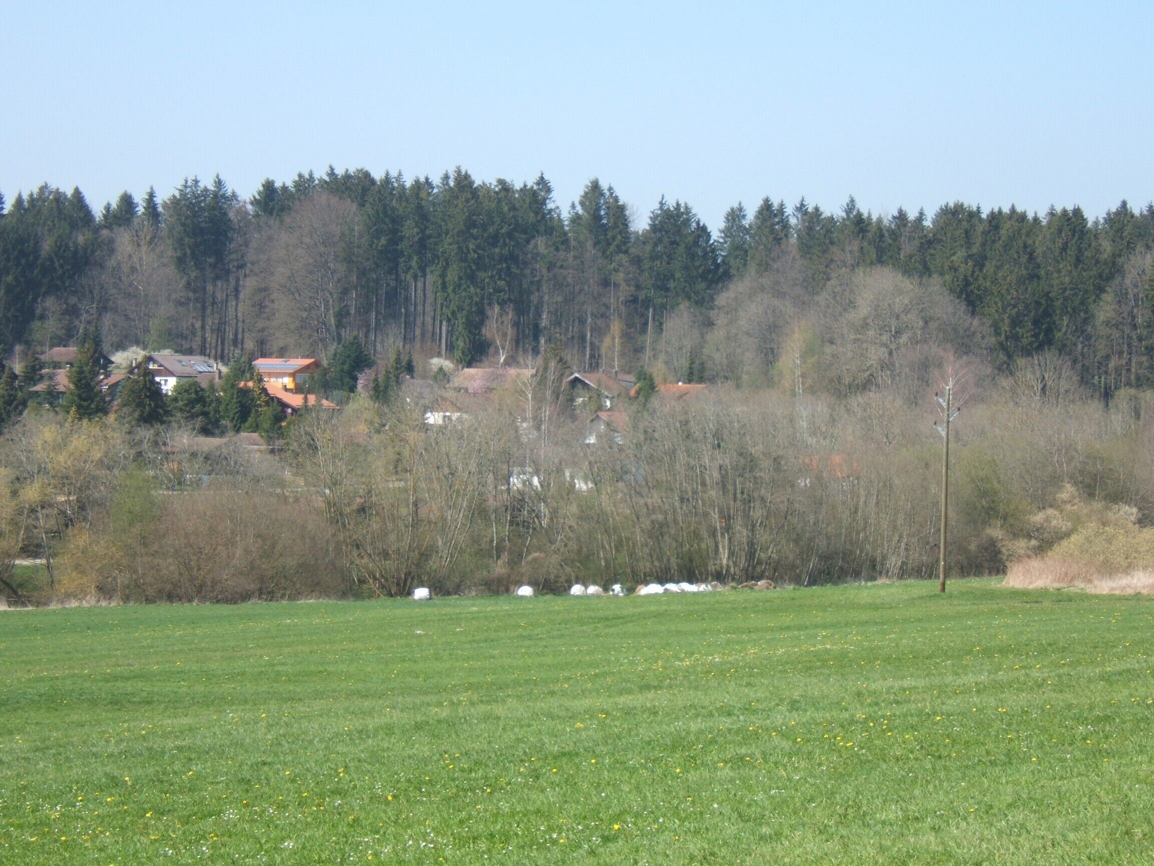 A rural landscape with a field, trees, and houses in the background.