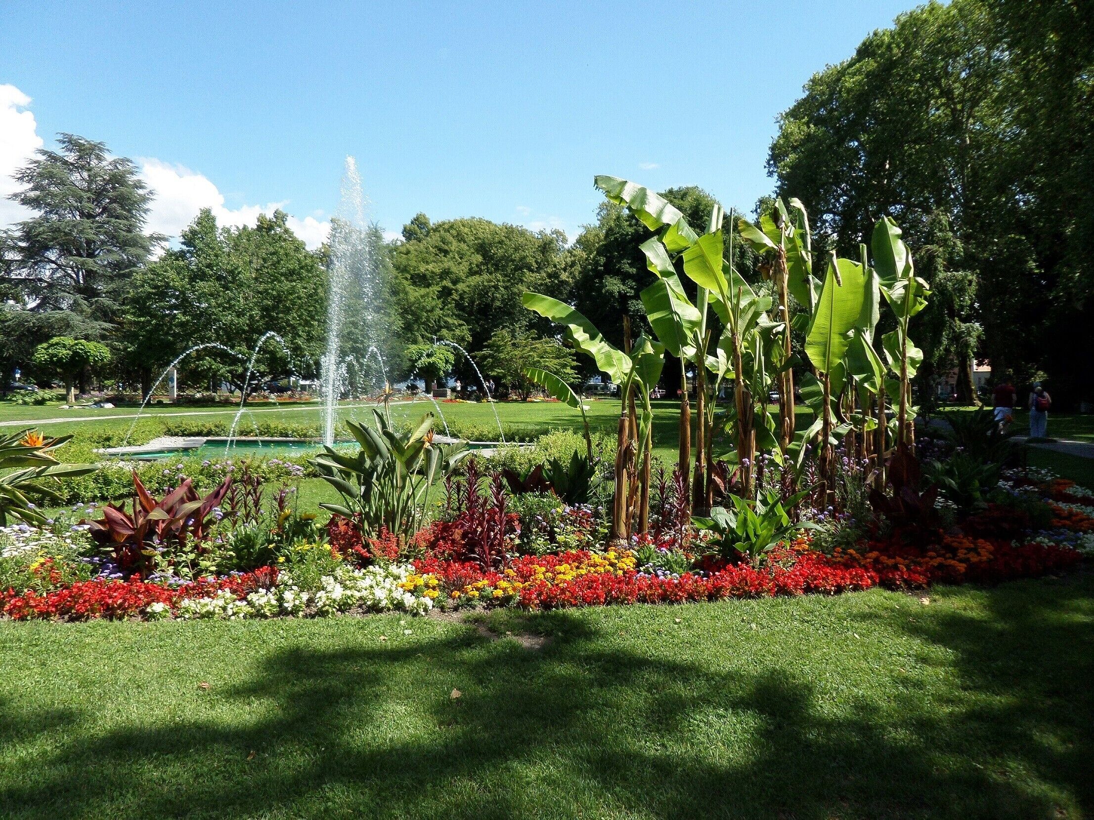 Parco della struttura