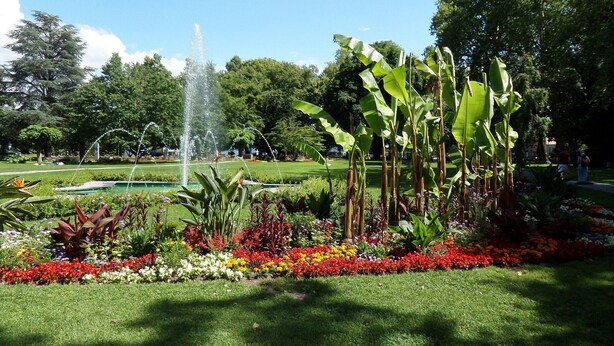 Ein Garten mit einer Fontäne, Bananenbäumen und verschiedenen bunten Blumen.