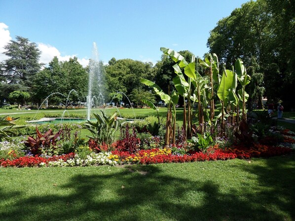 Áreas de la propiedad