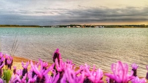A waterfront view with a calm body of water, a distant shoreline with buildings, and purple flowers in the foreground. - Apartment 'Sonnenwind Am Hainer See' with Lake View and Wi-Fi (Neukieritzsch)