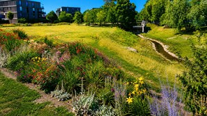 Um jardim bem cuidado com diversas plantas e flores, um pequeno riacho, e edifícios ao fundo.