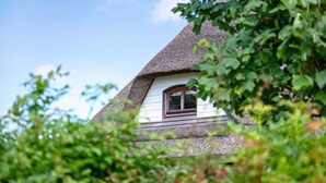 A traditional thatched-roof house with a window, surrounded by greenery.
