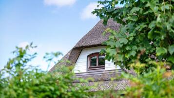 DĂ©tail de lâextĂ©rieur