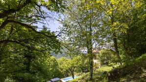 A lush green landscape with a swimming pool, a small shed, and a chair. - Il Castagneto by Interhome (Iseo)