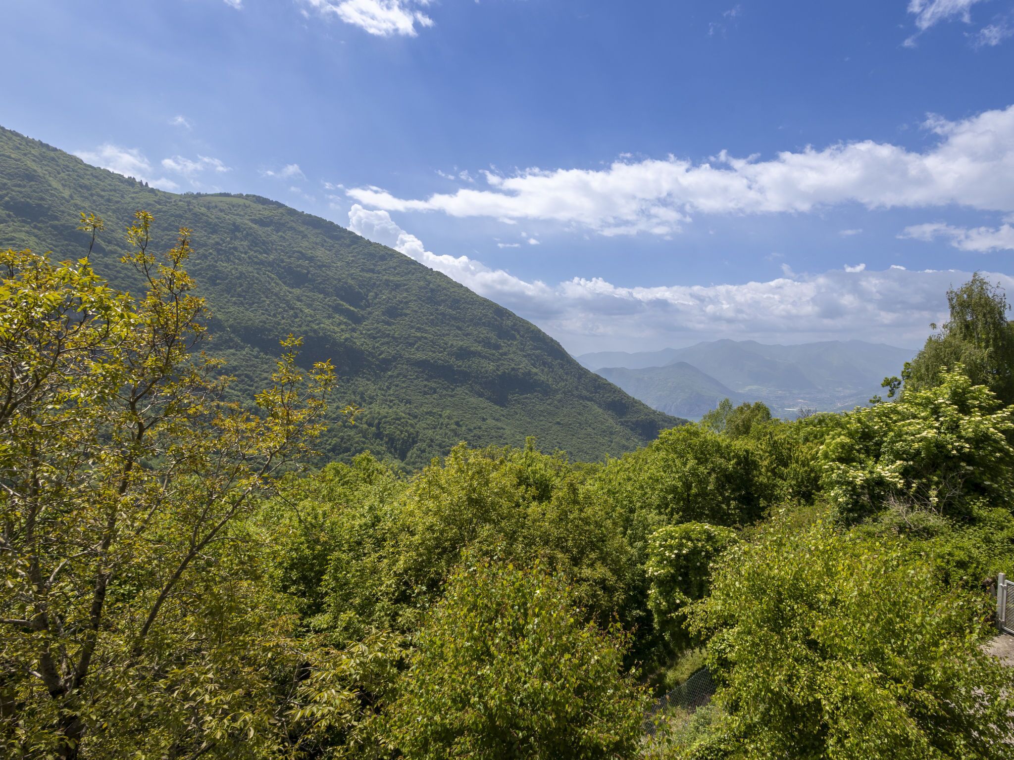 A mountainous landscape with dense greenery and a clear sky.