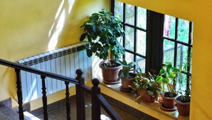 Un escalier avec une rampe, des plantes en pot sur le palier et un luminaire suspendu.