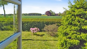 A view through a window of a lush garden with a hedge, a flowering shrub, and a coniferous tree.