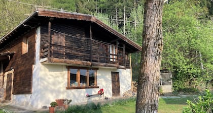 PEZZAINBAITA. Chalet spacieux Ă 20 minutes du lac de cĂŽme. Oasis dans les bois