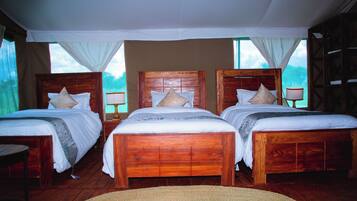 Triple Room | Desk, laptop workspace, iron/ironing board, rollaway beds
