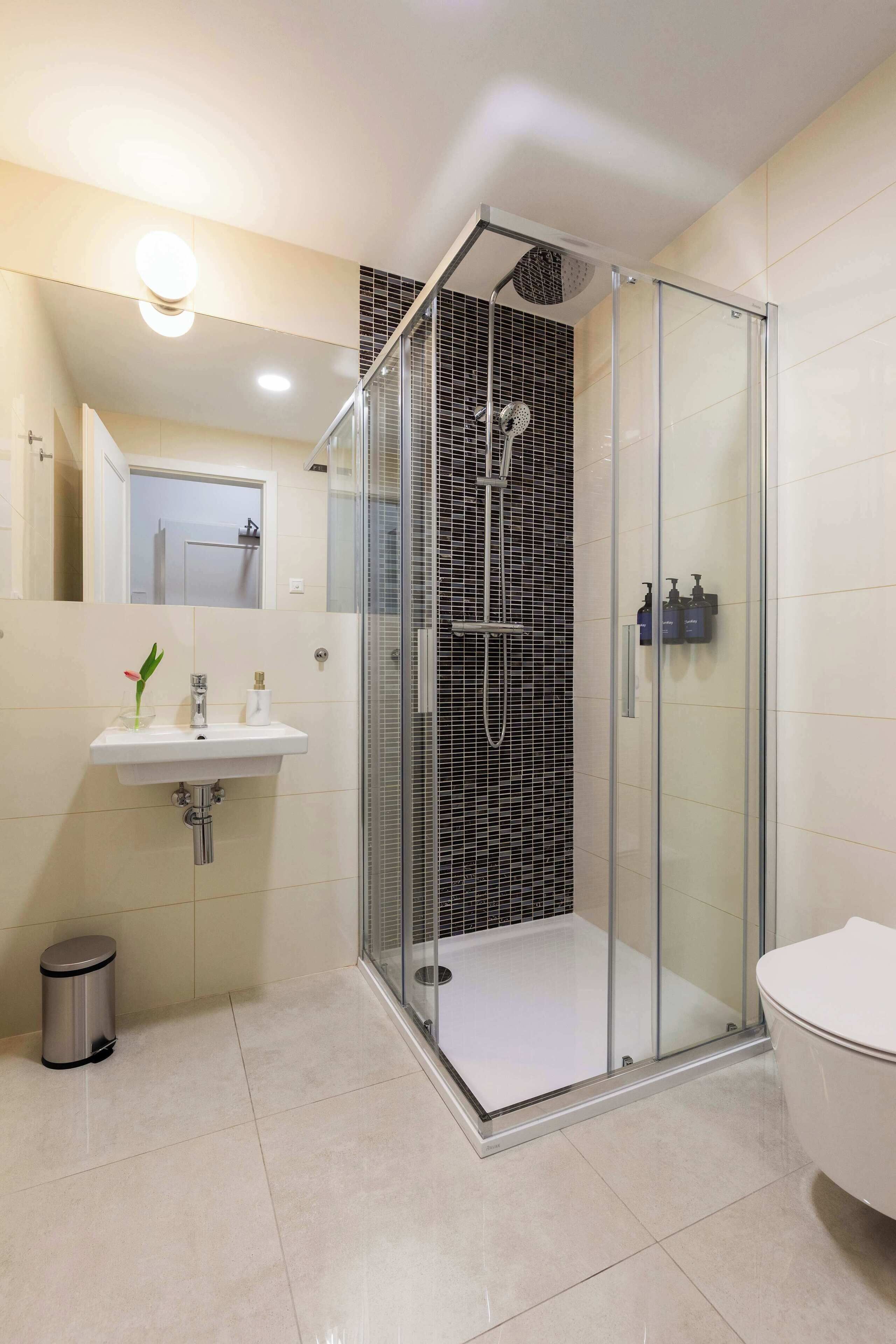 Shower, hair dryer