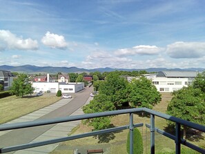 Property grounds - Quiet apartment overlooking the Vosges mountains (Colmar)