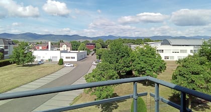 Quiet apartment overlooking the Vosges mountains