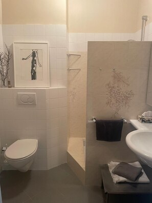 Secadora de cabello, toallas, jabón, papel de baño 