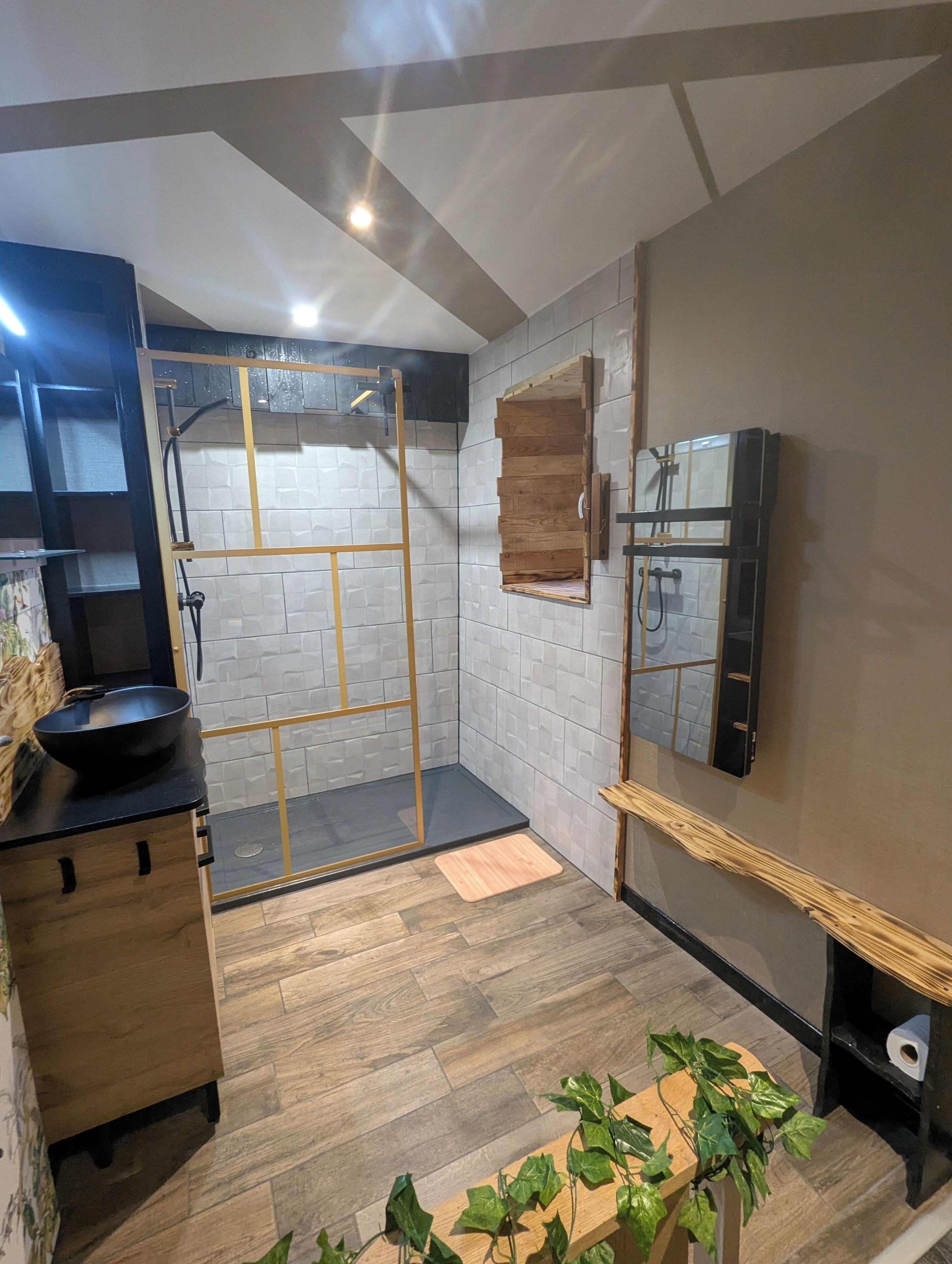 Shower, hair dryer, towels, toilet paper