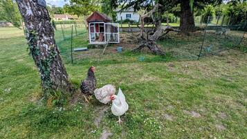 Enceinte de lâhĂ©bergement