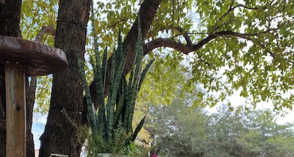 Relax in nature’s peace just minutes from Chobe River and wildlife.