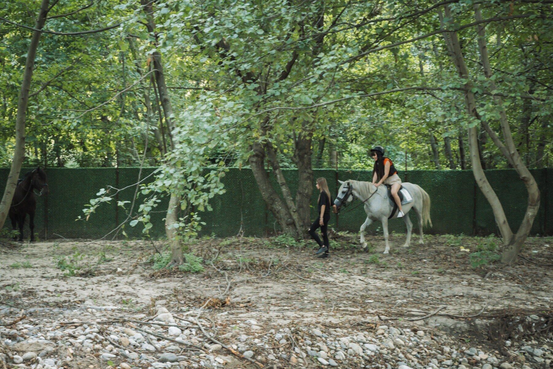 Una persona cavalca un cavall en una zona boscosa amb una tanca verda al fons.