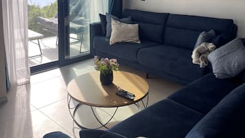 Smart TV, fireplace, books, music library