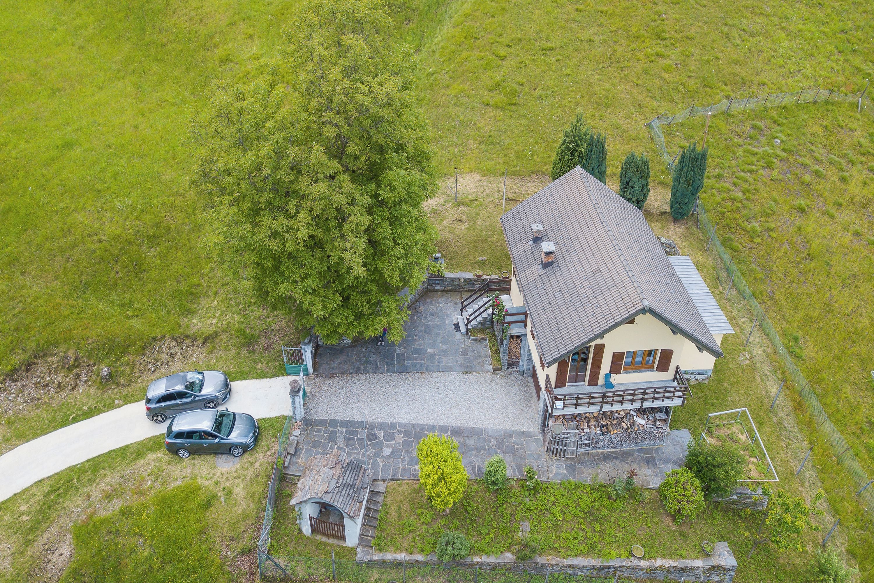 A house with a stone driveway, two cars parked, and a large tree in front.