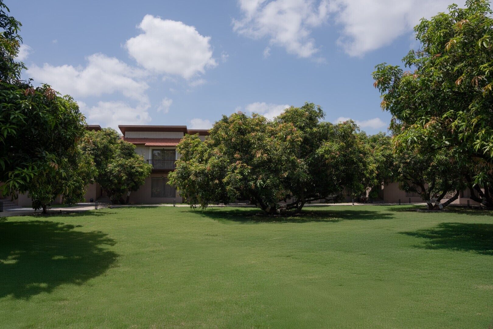 A courtyard with a well-maintained lawn, several trees, and a building with a red-tiled roof.
