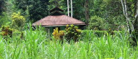 Àrea exterior de l'allotjament