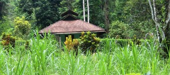 Wild nature - 300 m from the beach 5 person house.