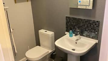 A bathroom with a toilet, sink, and mirror.