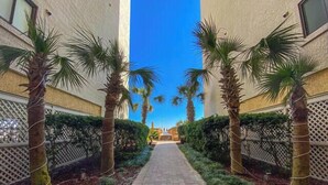 A pathway flanked by palm trees and hedges, leading to a building with a white facade.