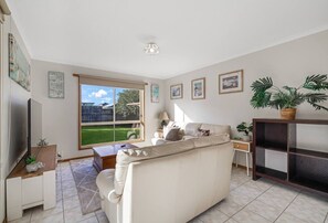 Älytelevisio, kirjoja