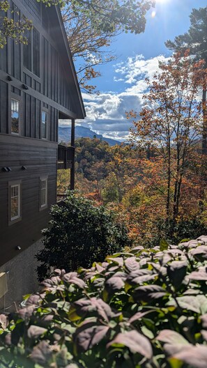 Property grounds - Timbers F-2 -Mtn Condo, Gated Resort, Indoor/Outdoor Pools & Hot Tub, Two Levels (Boone)