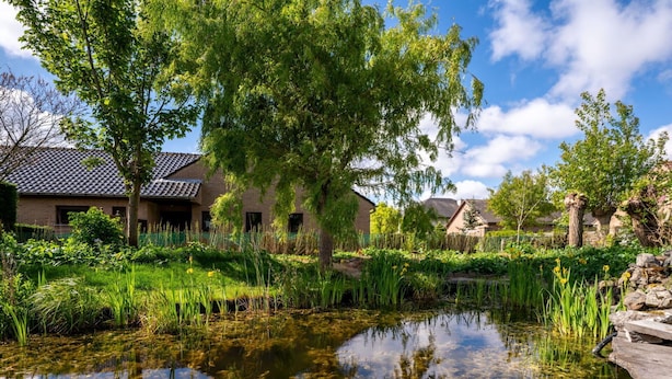A serene pond with clear water, surrounded by lush greenery and traditional buildings.