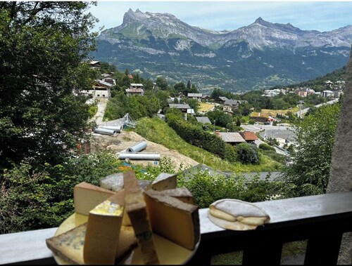 Bel appartement, 4 pers, Mt Blanc, Parking, 40m2, bord de piste, idéal ski/rando