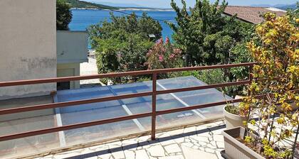 Apartment Devcic - 40 m from the sea, pet-friendly, private terrace, outdoor shower, BBQ