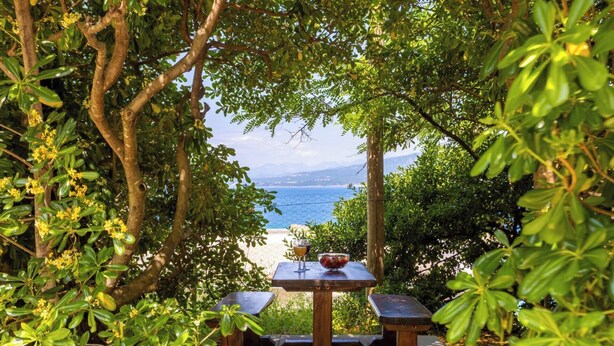 Un tavolo e una panca in legno in un giardino con vista sul mare.