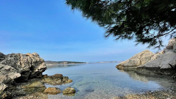 A rocky shoreline with clear water and a pine tree.