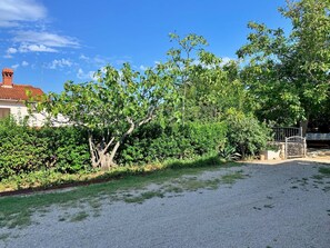 Terrein van de accommodatie