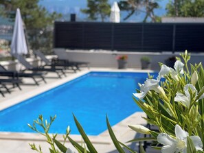 Pool - Apartment SeaLuxe with Hot Tub and Sea View - 30 meters from sea, private terrace, pool access, washing machine (Šilo)
