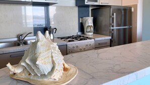 Een keuken met een grote witte schelp op het aanrecht, roestvrijstalen apparatuur en uitzicht op de omgeving.