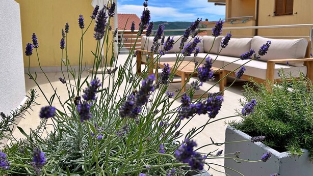 Un balcon agrémenté de plantes de lavande, d’une chaise blanche et d’un canapé beige.