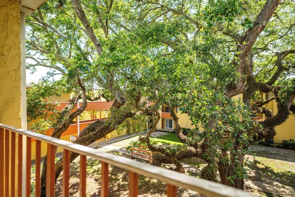 A balcony with a view of a courtyard, featuring a tree with twisted branches and a building with yellow walls.