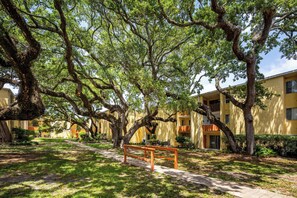 A courtyard with large trees, a wooden bench, and yellow buildings with balconies. - ‼️Calm Waterside Condo‼️ | Kayaks, Paddles, Pool (Mary Esther)