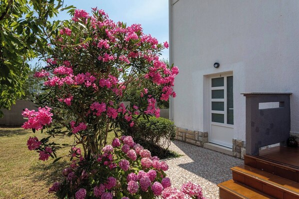 Áreas de la propiedad