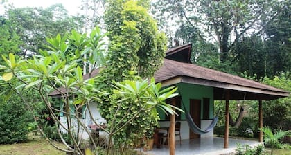 Für 5 Personen - 300 m vom Strand in tropischem Garten mit Biotop.