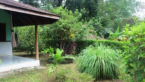 A covered outdoor area with a concrete floor, surrounded by lush greenery and various plants. - For 5 persons - 300 m from the beach in a tropical garden with biotope. (Cahuita)