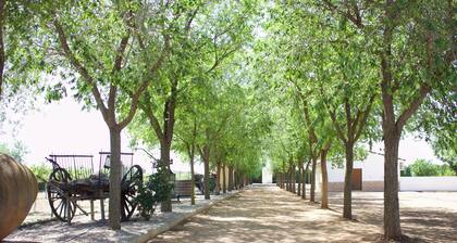 Luxurious house in the birthplace of Don Quixote