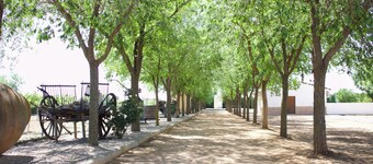 Luxurious house in the birthplace of Don Quixote